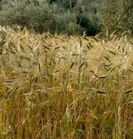 I Moricci Farm stay